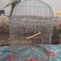 فروش فوری