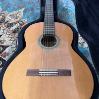 گیتار حرفه ای/گیتار دست ساز