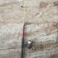 لنسر ماهیگیری معاوضه با یه جفت قناری