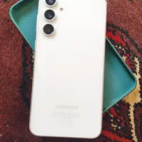 s 23 fe