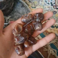 خرمای شکا آبادان