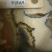 پلاک موتور گمشده