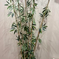 شاخه ی بامبو مناسب دکور خونه ، مغازه