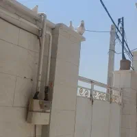 کبوتر فروشی