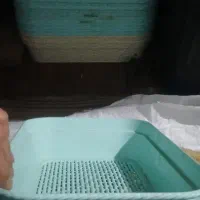 سبد
