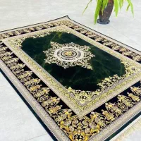 فرش شونهر المان/کد8080فیلی 12متری