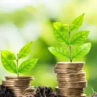 نیازمند سرمایه