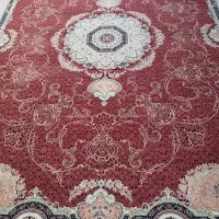 یک جفت ۱۲متری ۷۰۰شانه ساوین بی نظیر