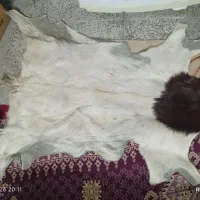 پوست بز