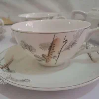 ست چایخوری بسیار ظریف  و زیبا