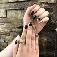 کاشت و ترمیم تخصصی شرق