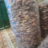 خرما|عمده‌فروشی|سراوان, |دیوار