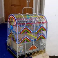 قفس  سهره  دهندار  قناری