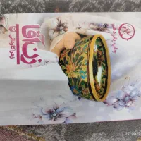 کتاب زن آقا (سفرنامه)
