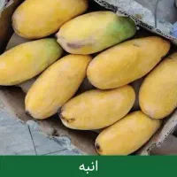انبه قلم