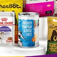 کنسرو گربه و سگ فنبی شایر و وکسی و dps و uspet