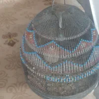 سهره خاکی