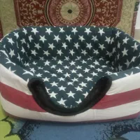 لانه سگ و گربه