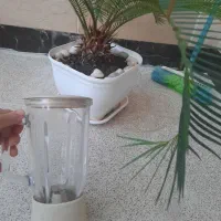 پارچ مخلوط کن ناسیونال
