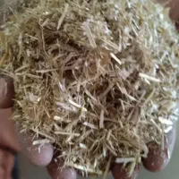 موجود کاه