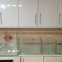 شیشه آکواریوم  گوش ماهی وغیره