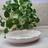 ظروف پذیرایی سرامیکی