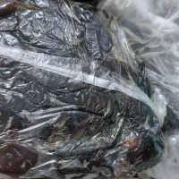 خرما|خوردنی و آشامیدنی|برازجان, |دیوار