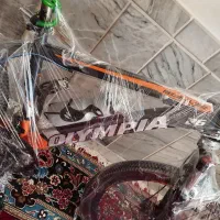 دوچرخه