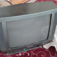 تلوزیون