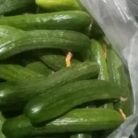 خیار برای خیارشور