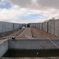 فروش فوری