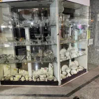 فروش-تجاری