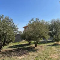 ملوسجان-4-هزار-متر-سند-تک-برگ