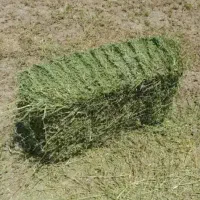 1تن یونجه انباری