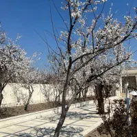 سرایدار باغ
