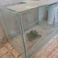 آکواریوم