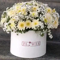 هدیه جدید ۱۰۰ تومن