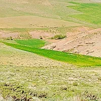 طبیعت گرد همراه میخوان