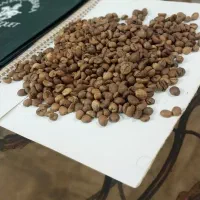 قهوه روست شده، اندونزی، ویتنام، عربیکا سانتوس