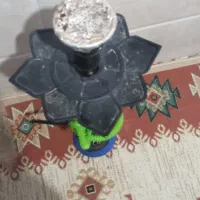 قلیون