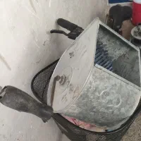 استر زن یا ملات پاش