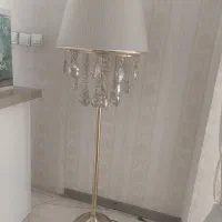 اباژور ایستاده سالم