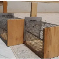 تله،،یا،،قفس موش گیر
