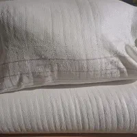 ۲ کیسه ارد