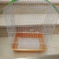 قفس مرغ