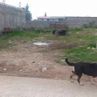 فروش فوری زمین‌با قیمت استثنایی