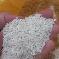 برنج سرلاشه هاشمی به شرط