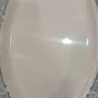 دیس ملامین نشکن ۲۵۰ عدد