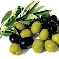 فروش روغن زیتون