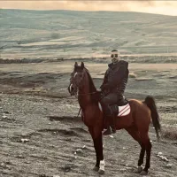 نریان درشور